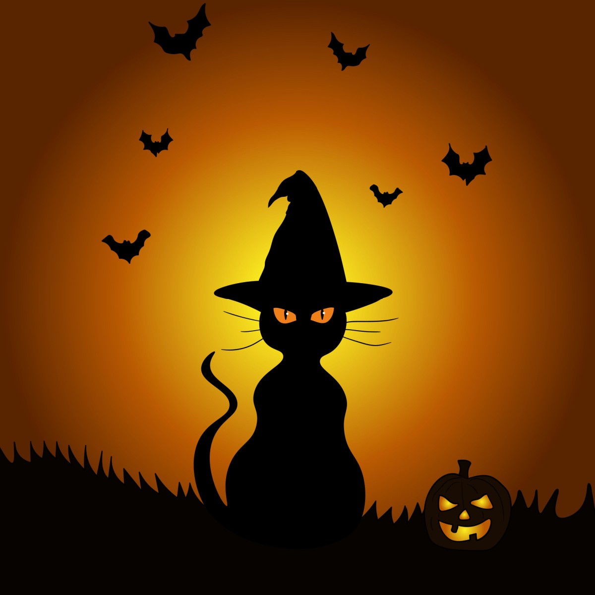 Black cat silhouette A silhouette of a black cat with a witches hat sitting on grass, next to a jack o lantern with bats flying around them.