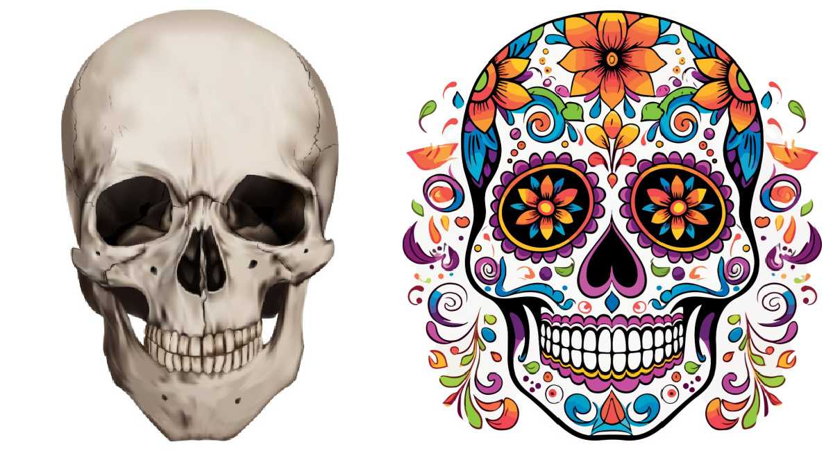 Halloween skull and Dia de los Muertos skull A Halloween skull on the left side of the image, with a dia de los muertos skull on the right side of the image.