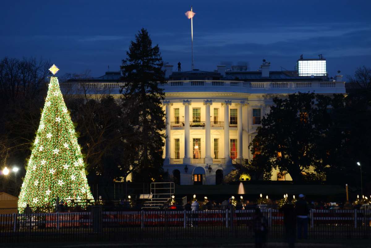 White House Christmas tree A lit Christmas tree in the foreground of a photo with the White House in the background, to represent a crucial moment in Christmas lights history when President Grover Cleveland put Christmas lights on the first Christmas tree at the White House.