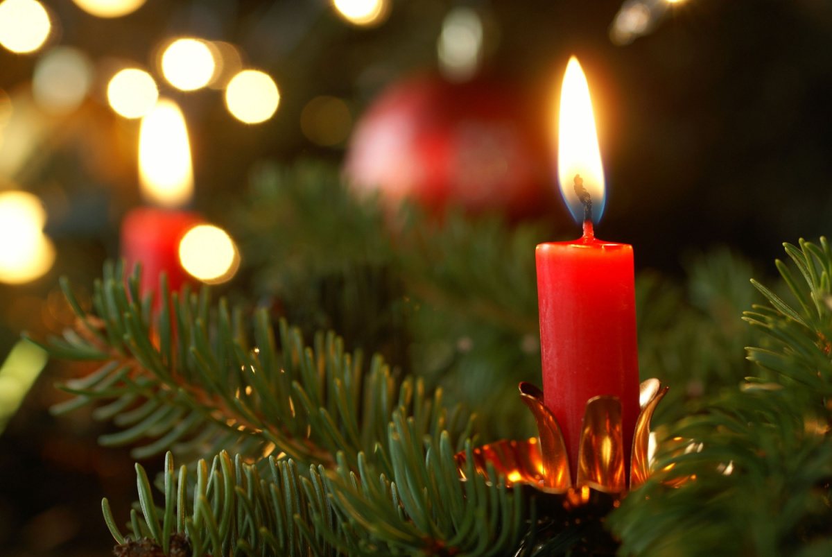 Candles in Christmas tree A close up image of a Christmas tree branch with lit candles affixed to the branches, which were used as the first Christmas lights before electric Christmas lights were invented in 1882.