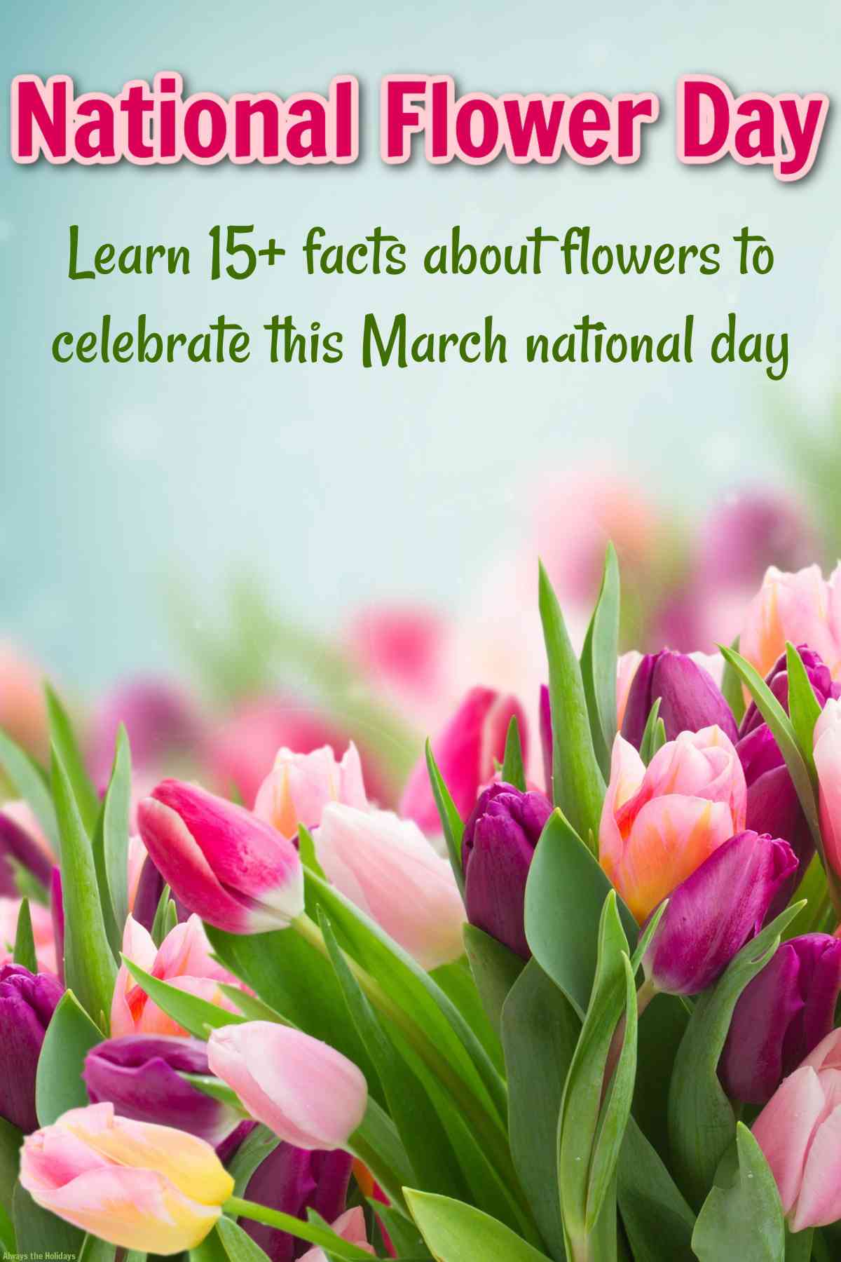 Learn All About National Flower Day A blue sky with tulips of various shades of pink and purple beneath it, with a text overlay on the sky for National Flower Day, encouraging people to learn flower facts to celebrate.