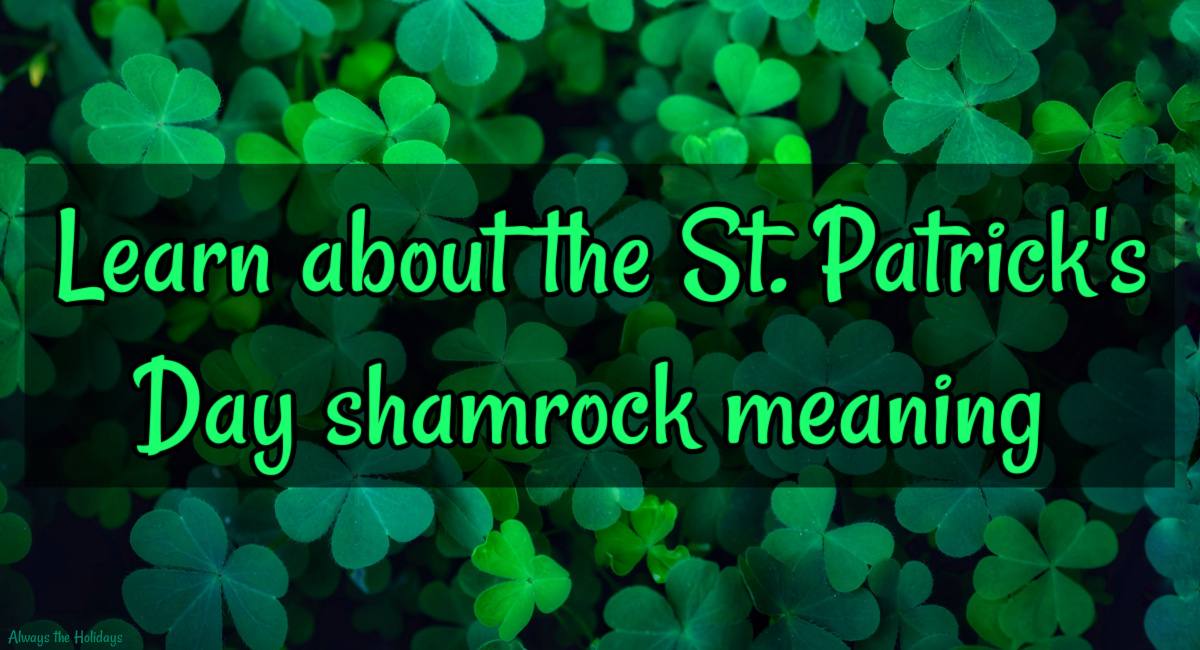 Shamrock image with text overlay A close up image of a patch of shamrocks with a text overlay in bright green letters on a faded black rectangle that reads Learn about the St. Patrick's Day shamrock meaning.