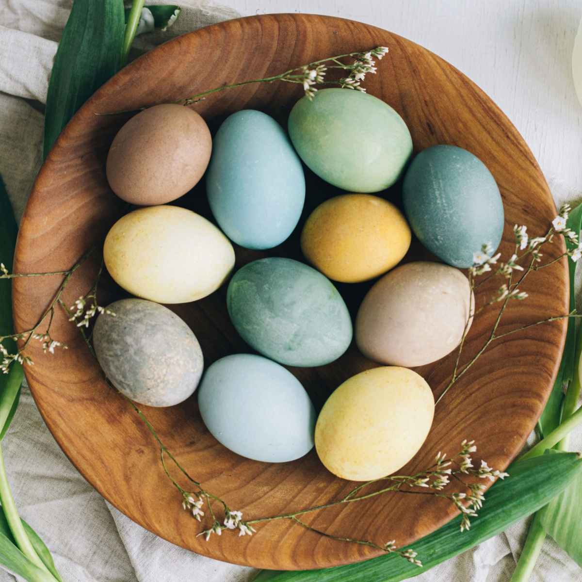 Dyed Easter eggs A wooden basket of pale pastel Easter eggs, on a white background with greenery around them.