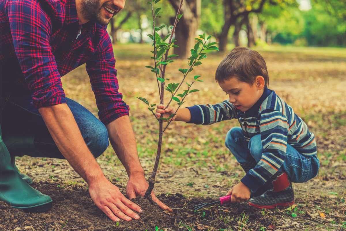 A father and son engaged in the easy Earth Day activity of planting a tree, with the son holding the tree upright, and the father patting the soil around the base of the tree.