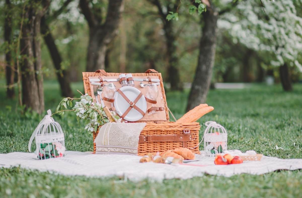 A picnic basket with reusable plates, cutlery and glasses, open on a white picnic blanket, on a grassy lawn with trees in the background to celebrate Earth Day.