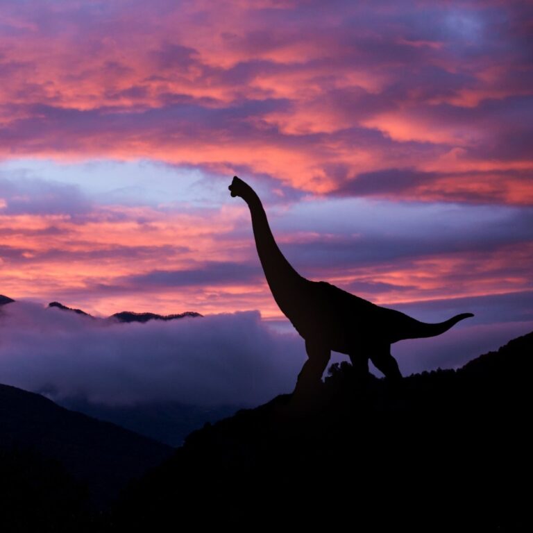 The silhouette of a brontosaurus dinosaur standing on a mountain against a sky that is pink and purple because of the sunset.