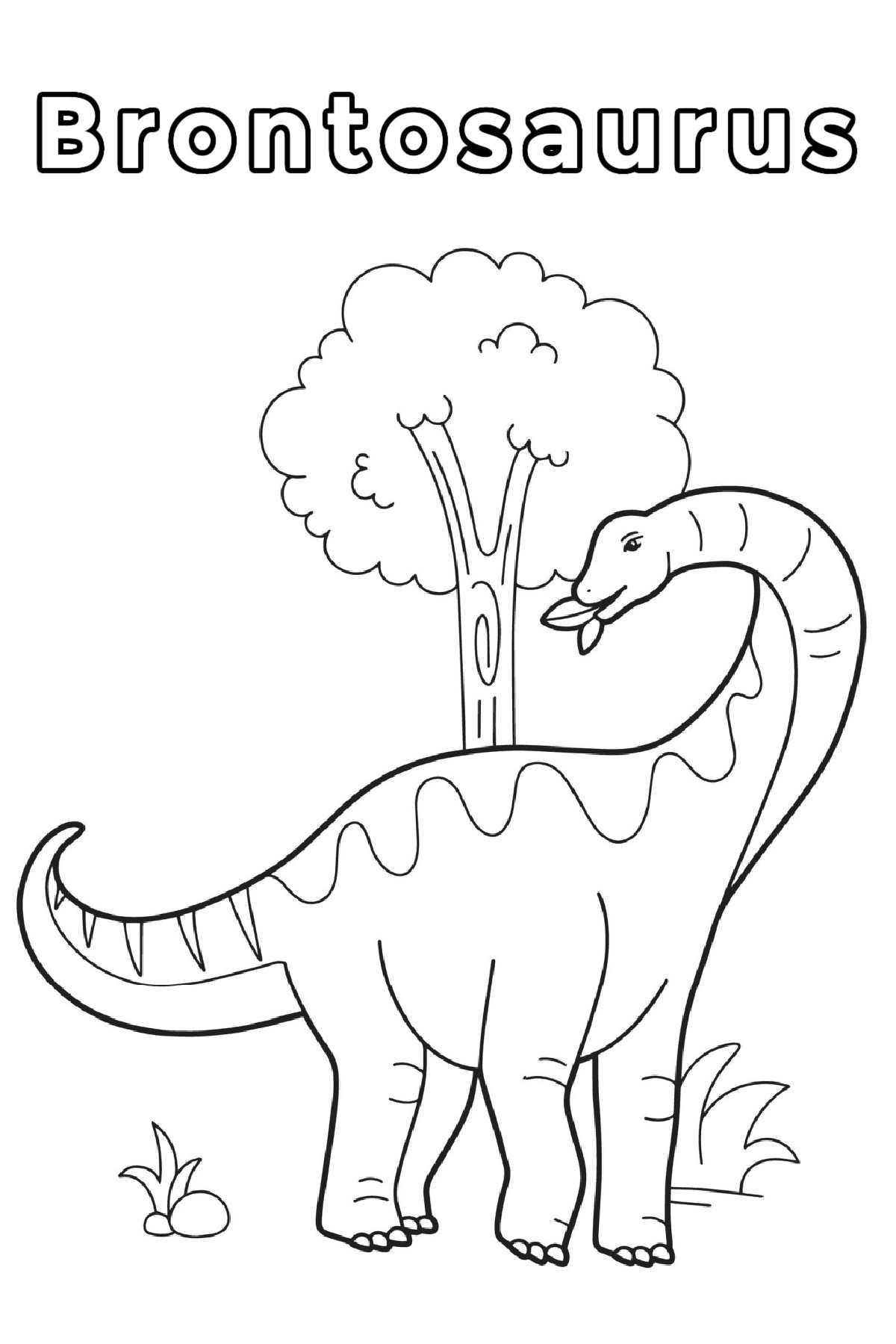 Get a Free Printable Brontosaurus Coloring Page A Brontosaurus coloring page with the word Brontosaurus at the top in bubble letters with an outline of a Brontosaurus dinosaur eating leaves, with a tree behind him, taking up the bulk of this dinosaurs coloring pages.