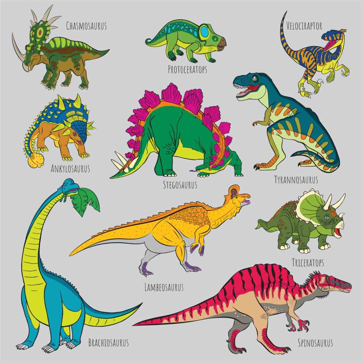 Dinosaurs and their names on a grey background A grey background with ten dinosaur images on them with their names beside them, including a velociraptor, tyrannosaurus, triceratops, spinosaurus, protoceratops, stegosaurus, lambeosaurus, chasmosaurus, ankylosaurus and brachiosaurus.