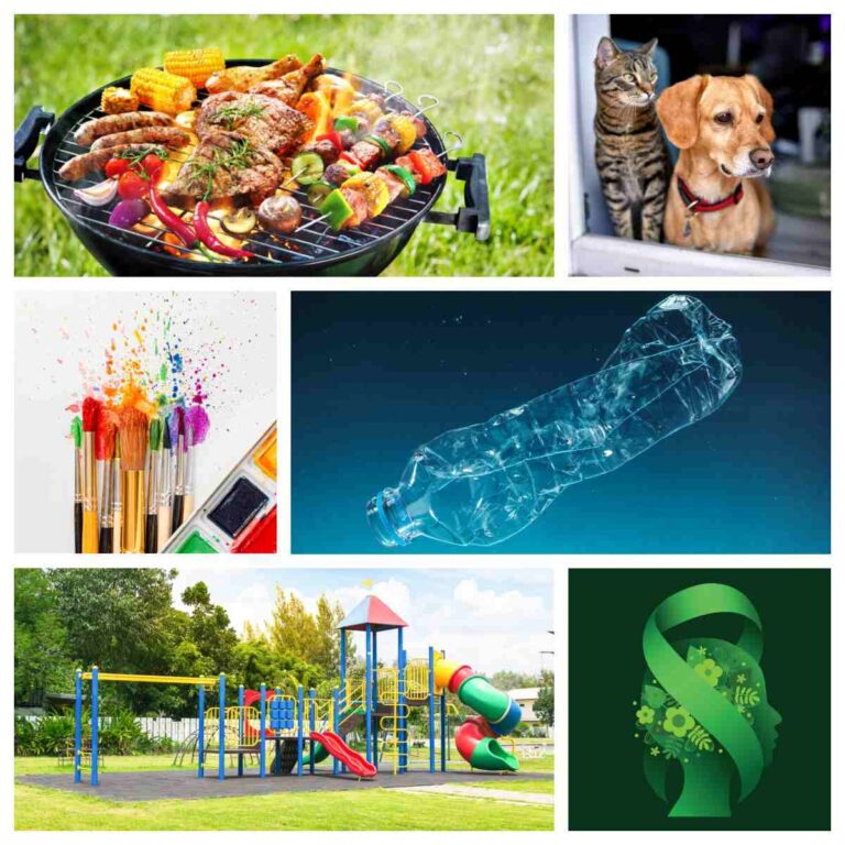 A collage of six images represent the July awareness months and July national months, in order from top left to bottom right the images are a close up of a BBQ grill for National Grilling Month, a dog and cat looking out a window for National Lost Pet Prevention Month, paint brushed and a palate of watercolor paint for World Watercolor Month, a plastic bottle floating in the ocean for Plastic Free July, a playground at a children's park for National Park and Recreation Month, and an all green image of a head with flowers in it and a green ribbon surrounding it for National Minority Mental Health Awareness Month.