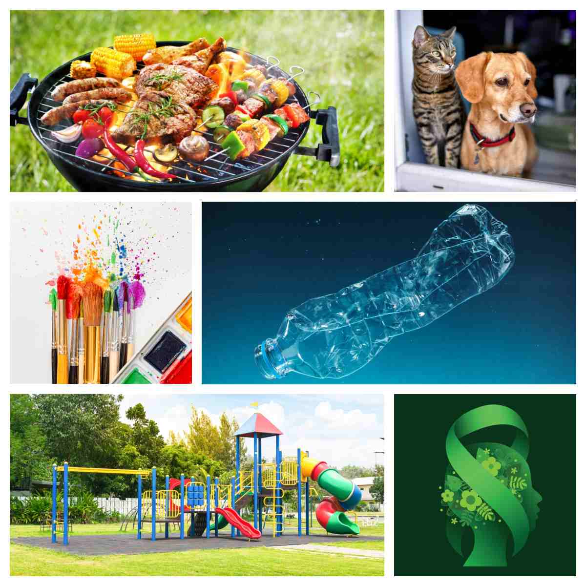 Collage of July national months A collage of six images represent the July awareness months and July national months, in order from top left to bottom right the images are a close up of a BBQ grill for National Grilling Month, a dog and cat looking out a window for National Lost Pet Prevention Month, paint brushed and a palate of watercolor paint for World Watercolor Month, a plastic bottle floating in the ocean for Plastic Free July, a playground at a children's park for National Park and Recreation Month, and an all green image of a head with flowers in it and a green ribbon surrounding it for National Minority Mental Health Awareness Month.