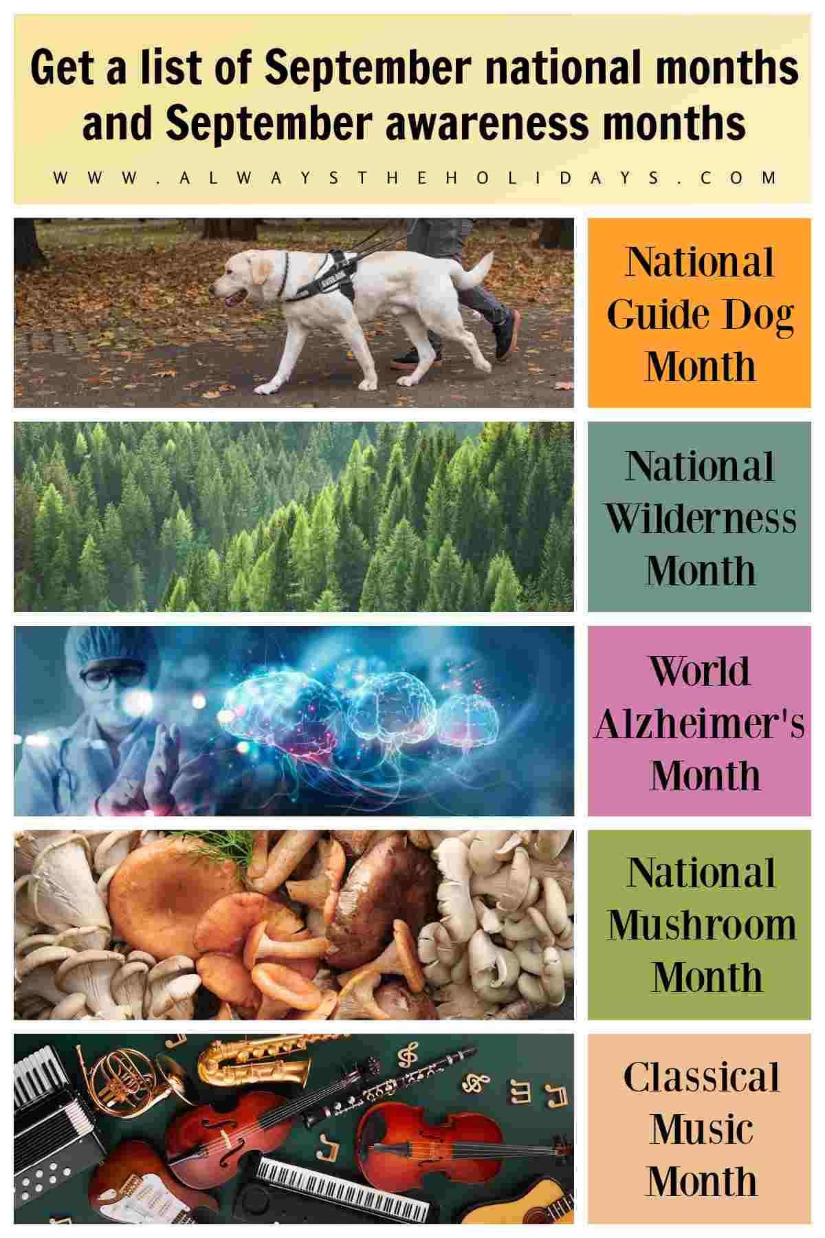 Celebrate the September Awareness Months and National Months! A collage of five images representing different September month celebrations, with the name of the monthly observance in capital letters beside it, from top to bottom they are an image of a guide dog in a harness leading a person walking for National Guide Dog Month, an image full of trees for National Wilderness Month, an image of a doctor with a mask on beside three brains with lights around them for World Alzheimer's Month, a close up shot of different varieties of mushrooms for National Mushroom Month and an overhead shot of stringed instruments, keyboards and brass instruments for Classical Music Month under a text overlay that says get the list of September national months and September awareness months.