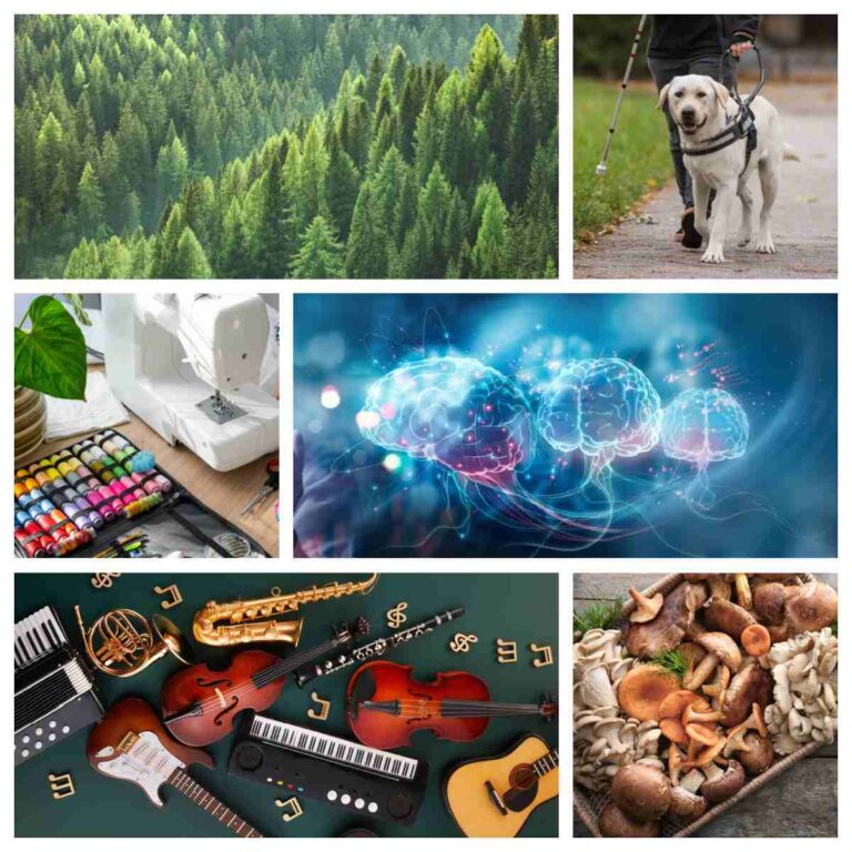 A collage of six images, each one representing a different September awareness month or national month, starting from the top left, a forest of trees represents National Wilderness Month, a guide dog in a harness walking in front of a person with a can represents National Guide Dog Month, a sewing machine with assorted colors of thread beside it represents National Sewing Month, an abstract illustration of three brains surrounded by light trails represents World Alzheimer's Month, an assortment of instruments on a dark green background represents Classical Music Month and a tray of different mushroom varieties represents National Mushroom Month.