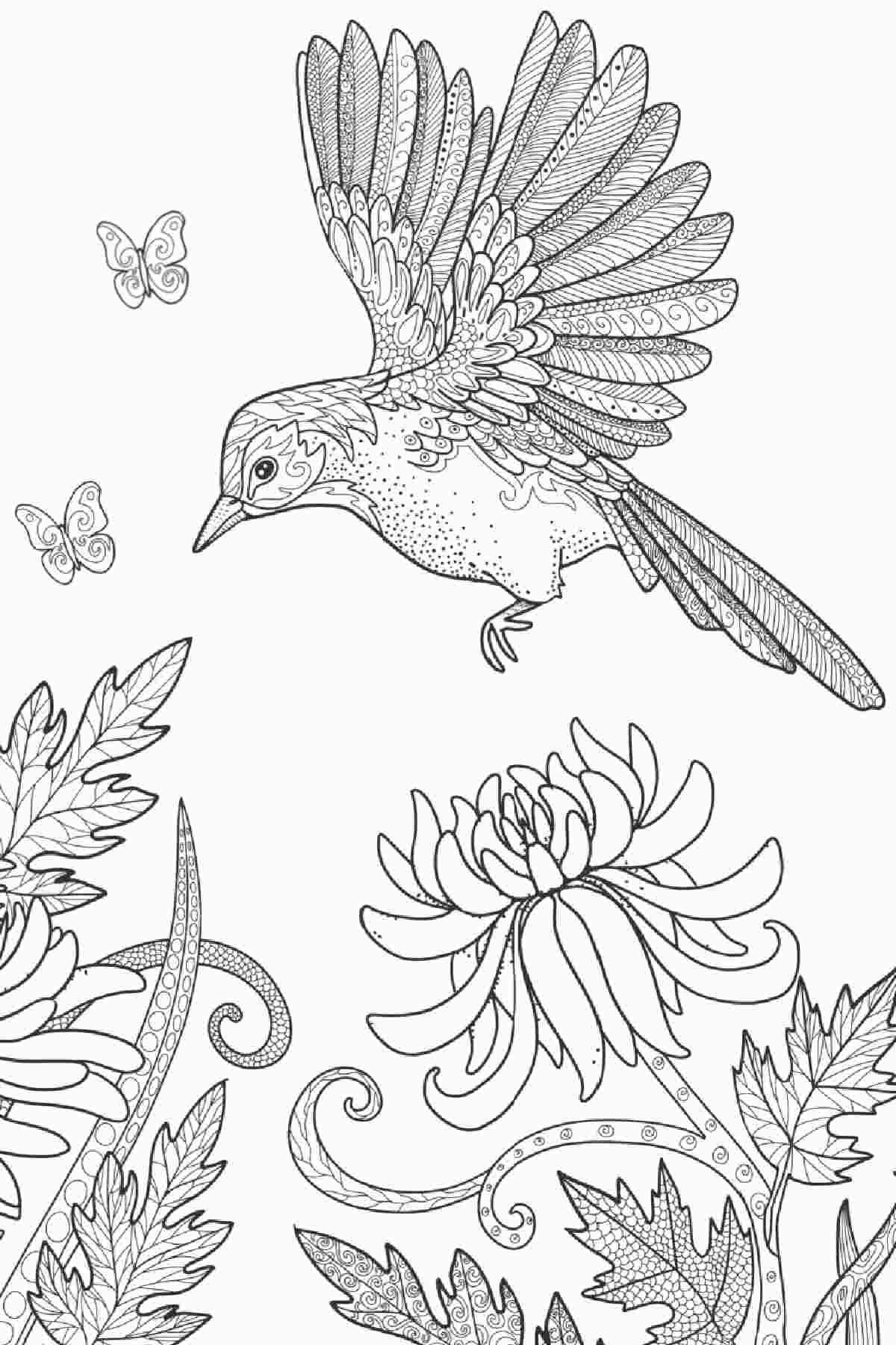 20+ Free Printable Springtime Coloring Sheets A bird coloring sheets printable for spring with a bird flying towards a flower, to land on it, with two tiny butterflies flying beside it.