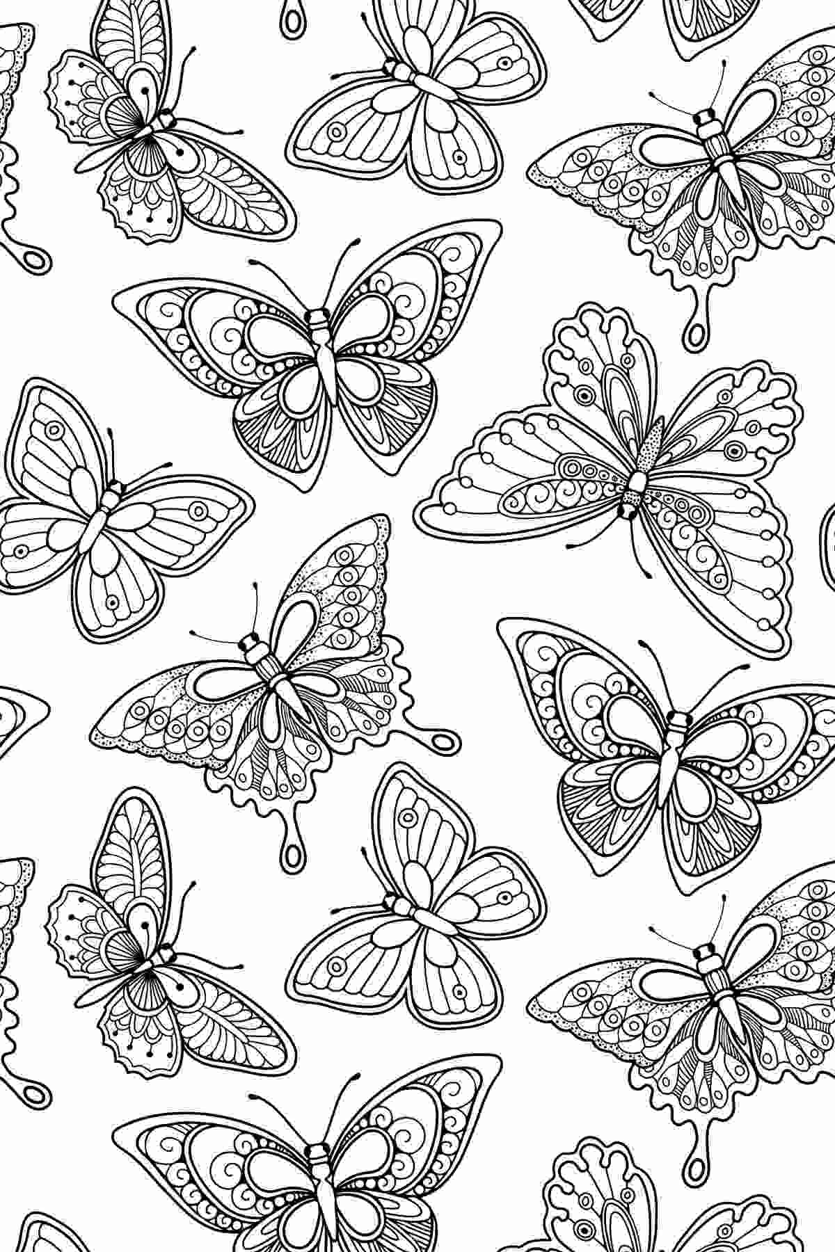 Get 20+ Free Spring Coloring Sheets A butterfly coloring sheets printable for spring that is filled with different types of butterflies.