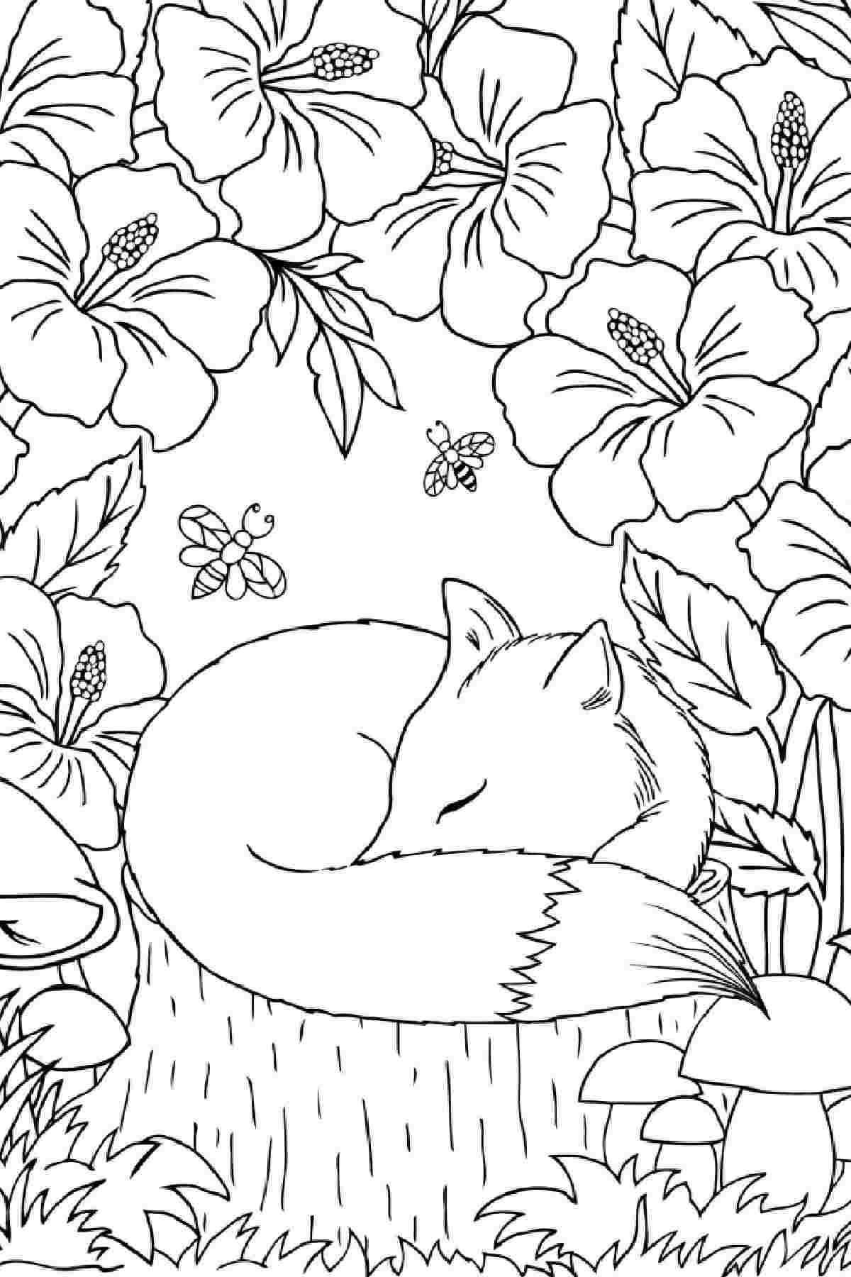 Free Printable Spring Coloring Pages A fox coloring pages printable for spring depicting a fox sleeping on a stump underneath an arbor of hibiscus flowers, with two tiny bugs flying above it.
