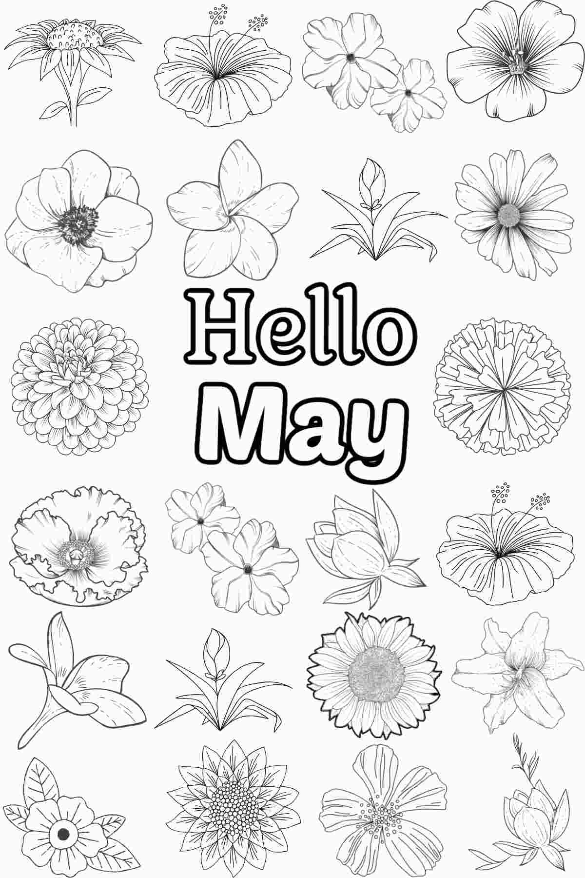 Celebrate May with 20+ Free Spring Coloring Sheets A May coloring pages printable with the words hello May in the center, and 22 flowers of varying types around it.
