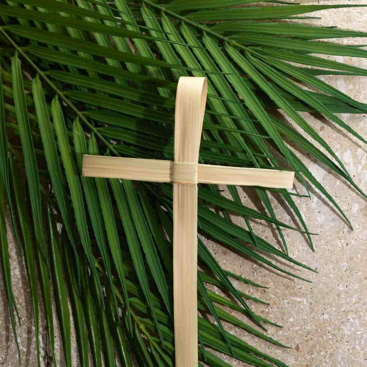 Palm fronds and cross A tan cross sitting on top of palm fonds, against a cream backdrop for Lent.