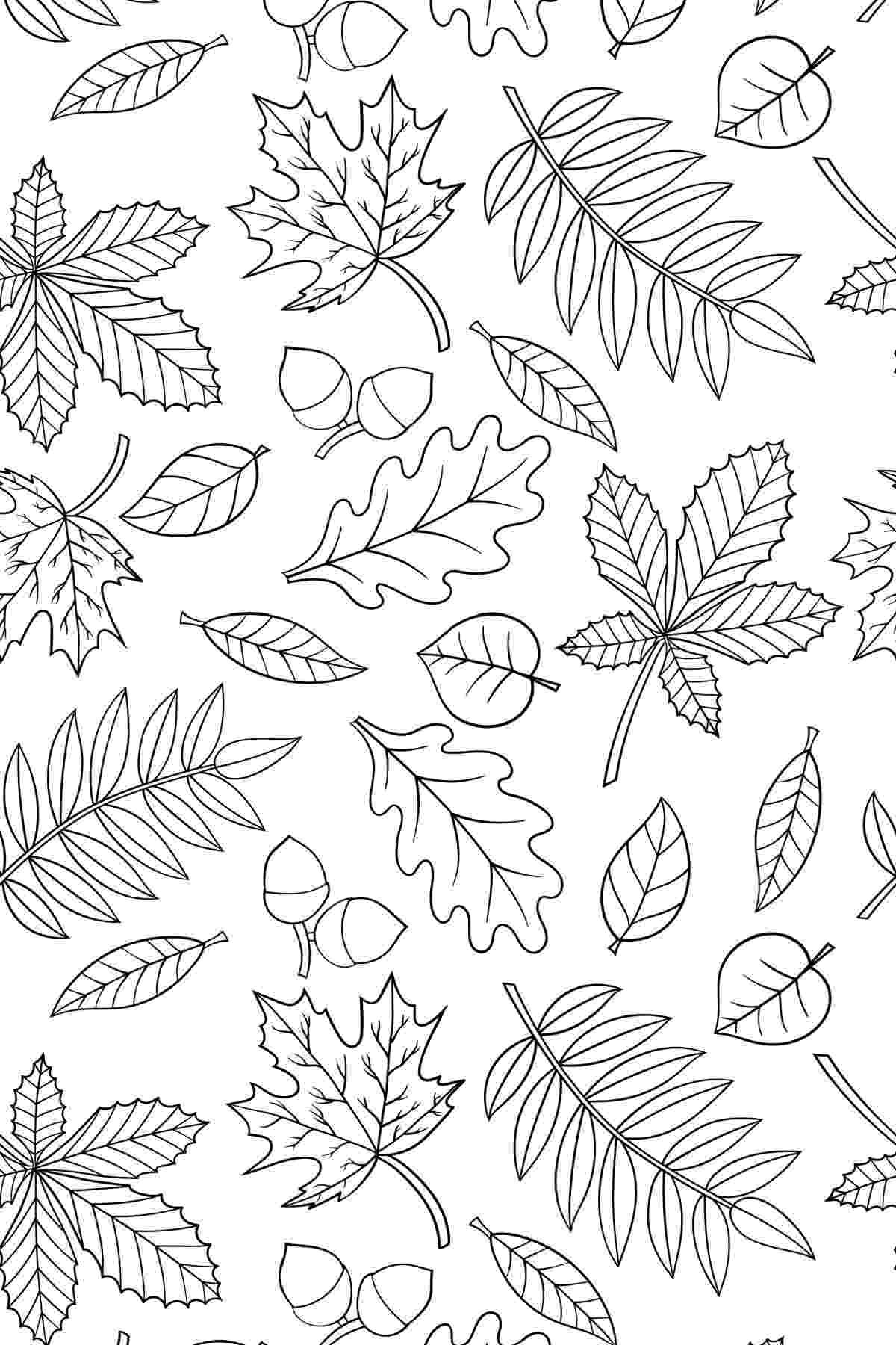 Get a Free Printable Leaf Coloring Pages for Earth Day A free leaf coloring pages printable, featuring many different fall leaves and acorns.