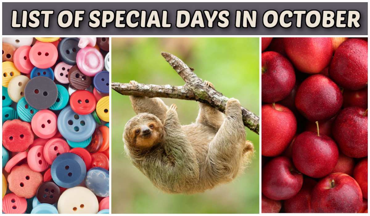 Collage of special days in October A text overlay that says list of special days in October above a collage of three images for the national days in October. From left to right the collage images are a pile of buttons for Count Your Buttons Day on October 21, a sloth for International Sloth Day on October 20, and a pile of apple for Apple Day on October 21.