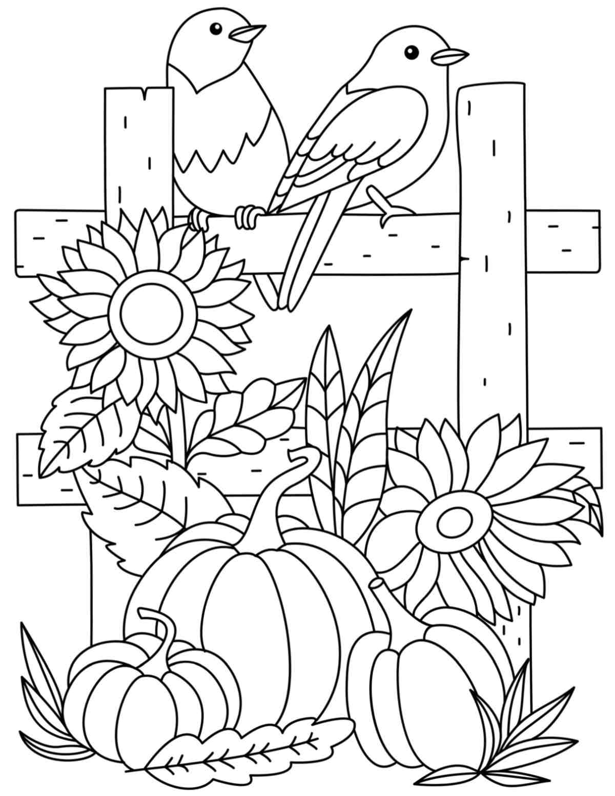 Get 20+ Free Fall Coloring Pages A fall coloring page free printable with a trellis behind sunflowers and three pumpkins with two birds sitting on top of the trellis.