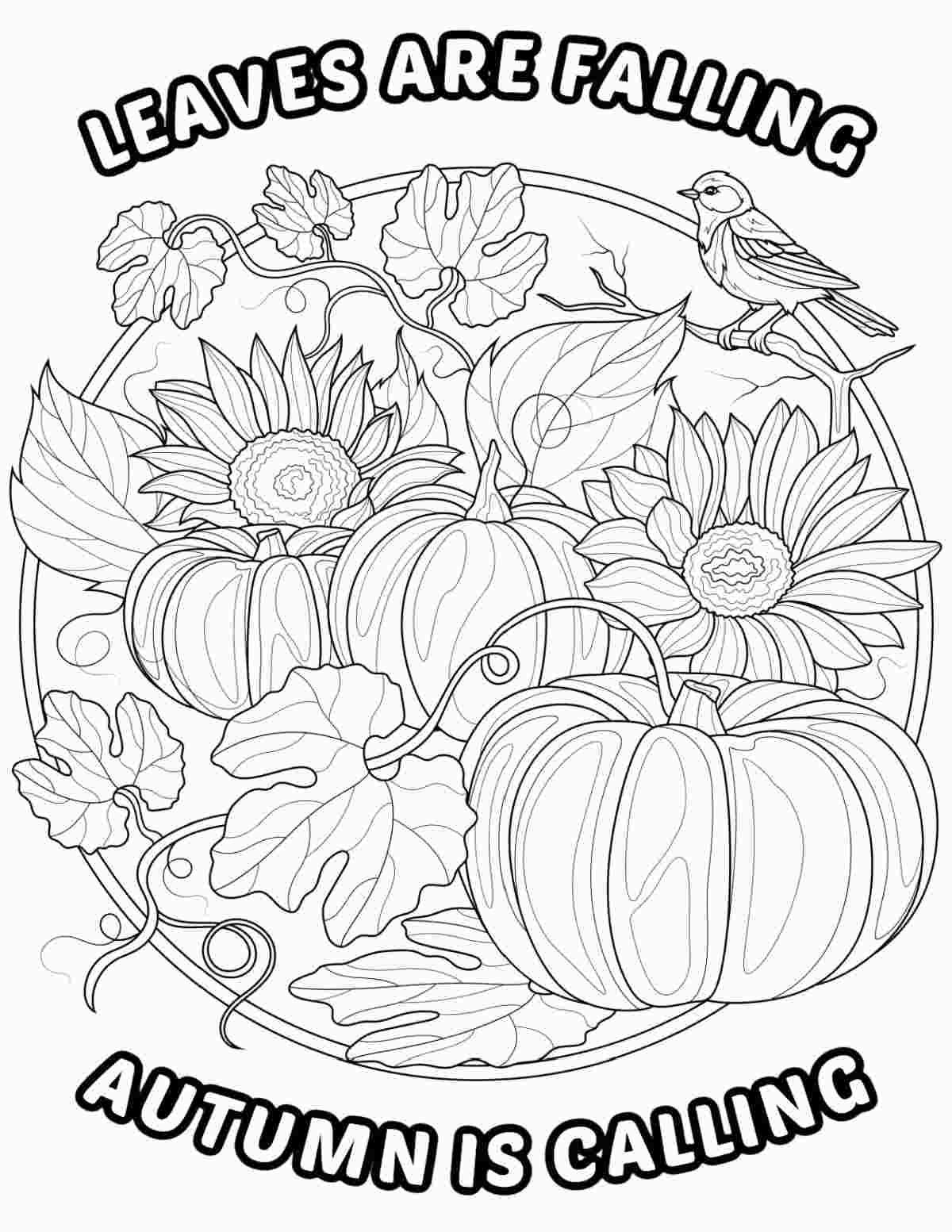 Get this Free Autumn Coloring Sheets Printable A free autumn coloring sheets printable that has pumpkins, sunflowers, leaves and a bird in the center of the image with curved text going around it that says leaves are falling, autumn is calling.