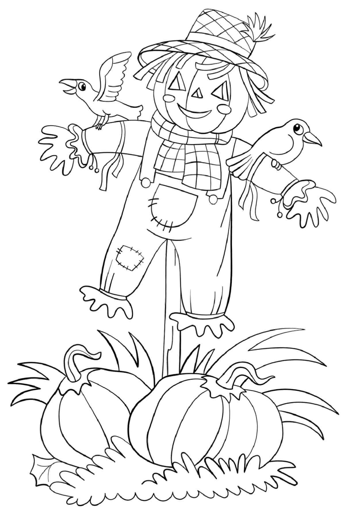 Get this Free Scarecrow Coloring Pages Printable A free scarecrow coloring pages printable for fall depicting a scarecrow with a jack o lantern head and patchwork overalls, with birds on his shoulders, and a straw hat on his head, perched above two pumpkins on a patch of grass.