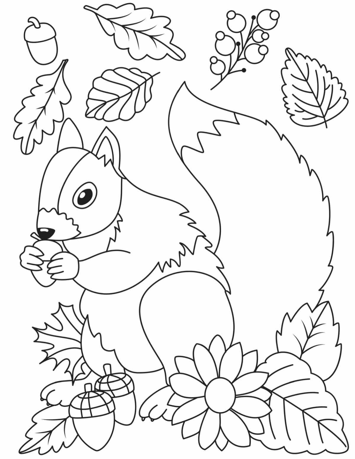 Get this Free Printable Squirrel Coloring Pages Image A squirrel coloring sheets printable for fall that has a squirrel in the center of the coloring page for fall holding an acorn to his mouth, with falling leaves above him, and a flower, acorns and more leaves at his feet.