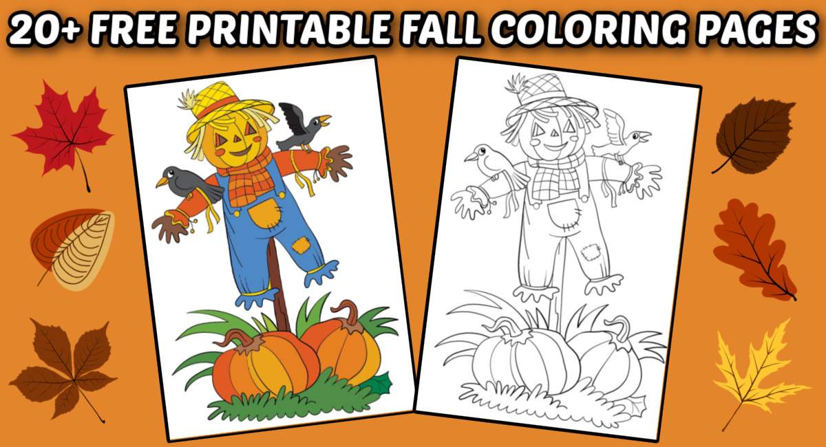 Scarecrow coloring pages A text overlay that says 20+ free printable fall coloring pages in bubble letters on an orange background above two scarecrow coloring sheets, the one of the left is colored in, and the one on the right is not colored in, both are surrounded by clip art style fall leaves.