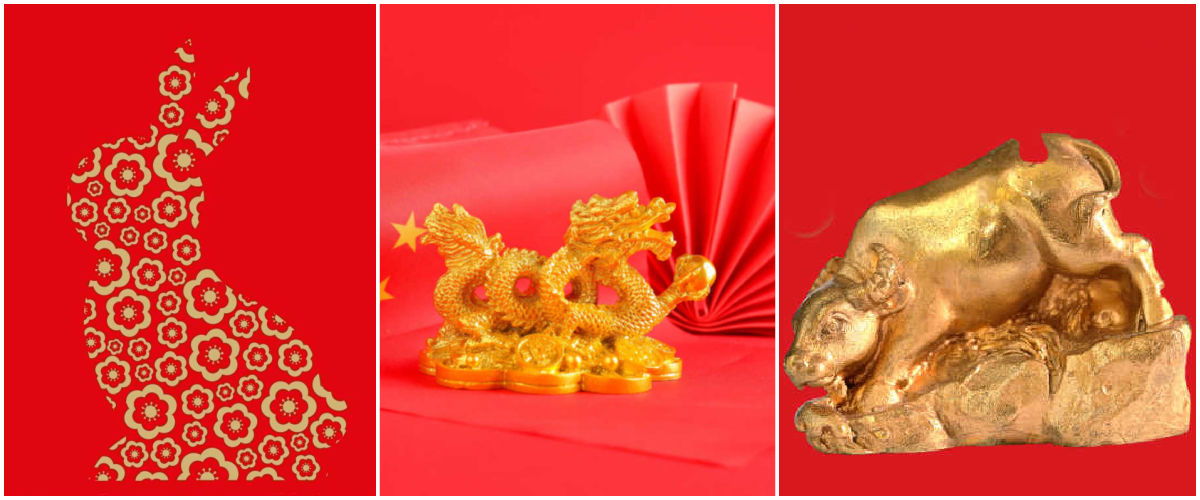 A collage with images of animals from the Zodiac year of the rabbit, dragon and ox.